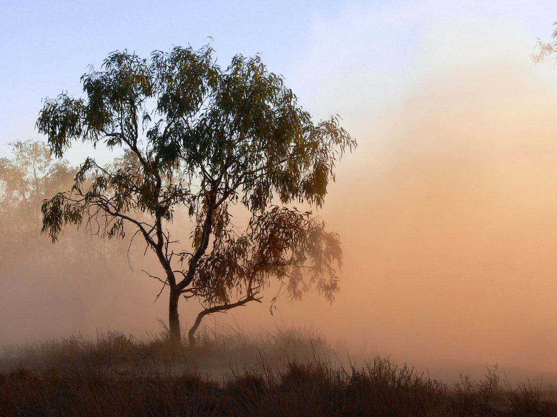 Innovative Environmental Dust Control Across Industries